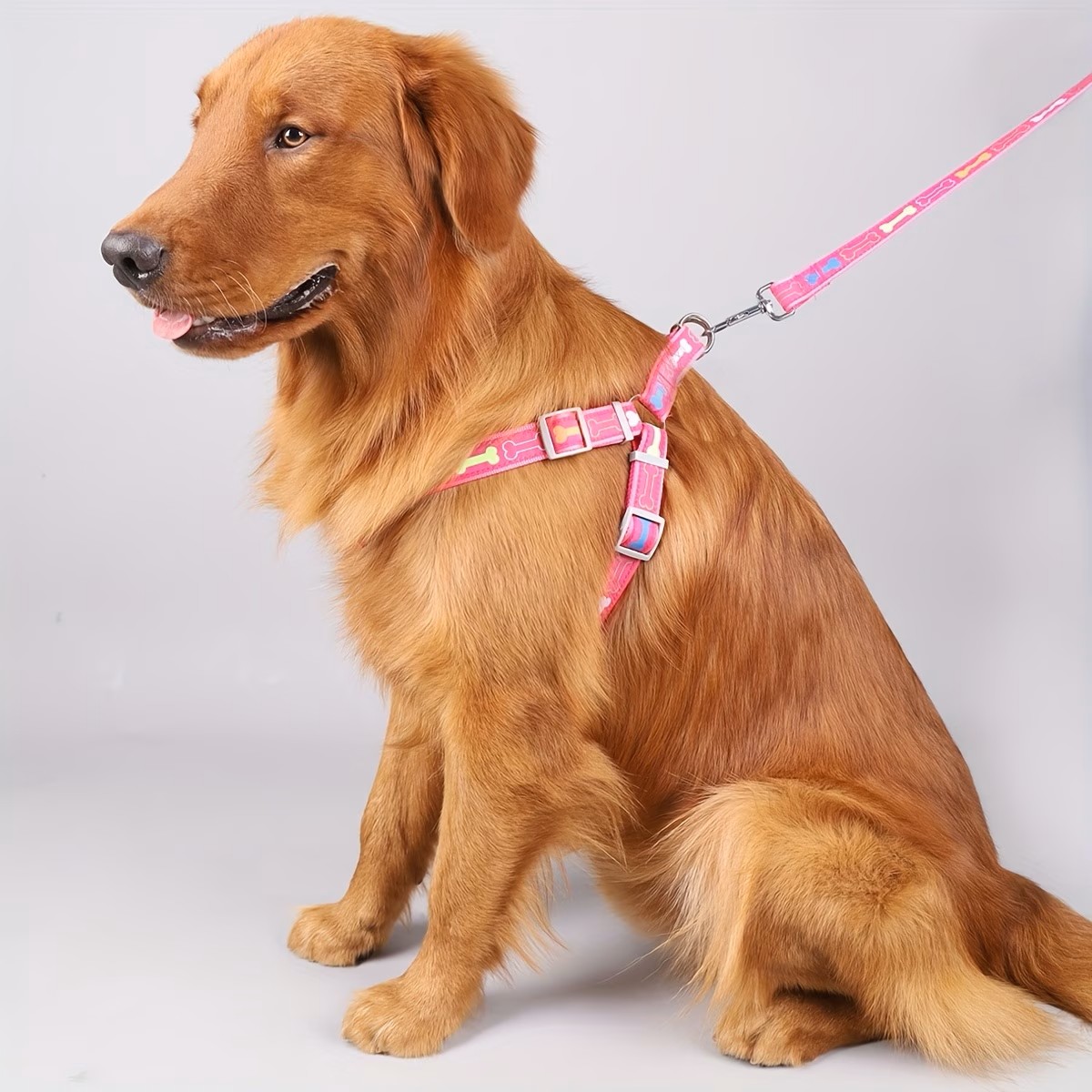 Adjustable Dog Harness with Qu - D Ring Strap 리뷰 및 가격