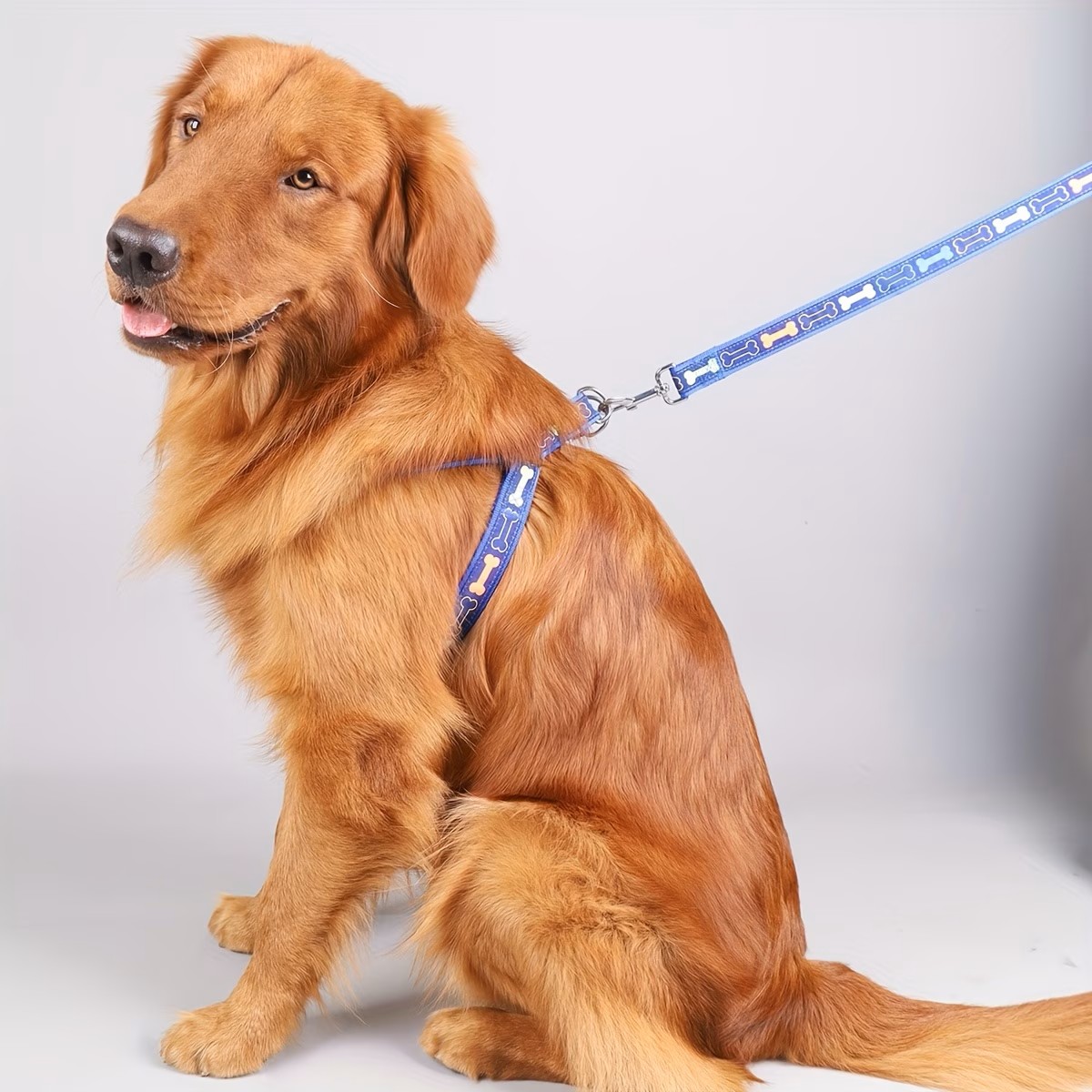 Adjustable Dog Harness with Qu - D Ring Strap 리뷰 및 가격