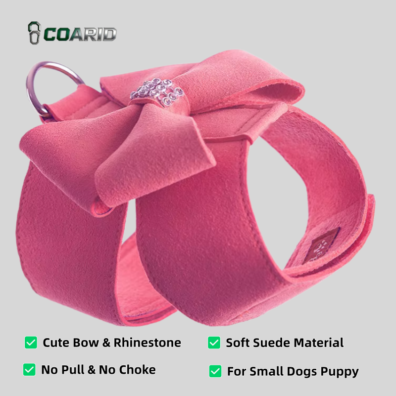 Cute Dog Harness Leash Set Sma - D Ring Strap 리뷰 및 가격