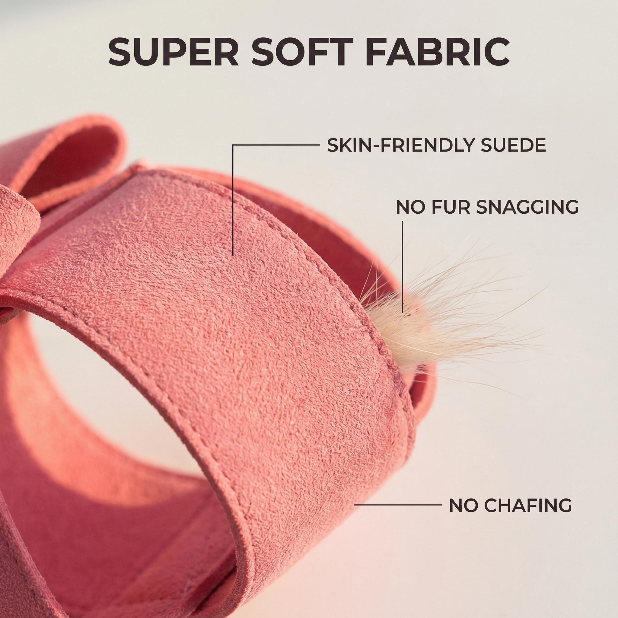Cute Dog Harness Leash Set Sma - D Ring Strap 리뷰 및 가격