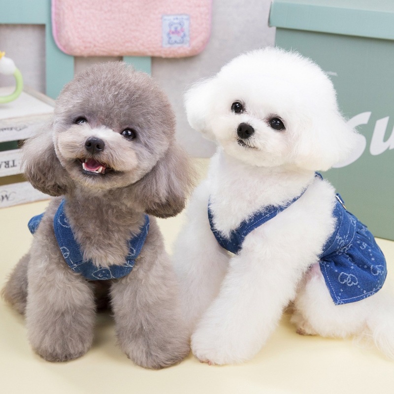 Denim Dog Dress Harness Puppy  - D Ring Strap 리뷰 및 가격