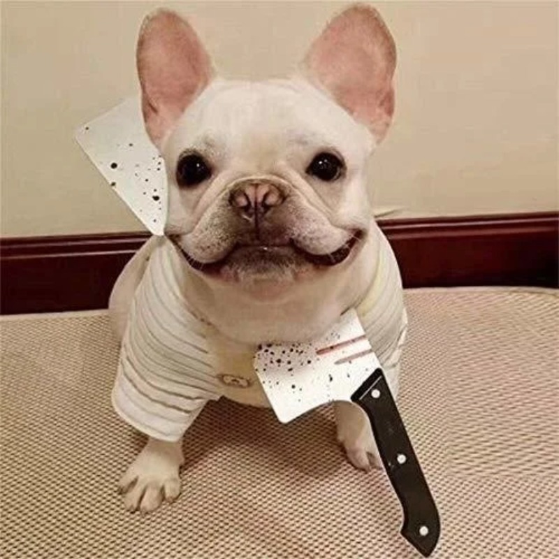 1 Pcs Dog/Cat/Pet Halloween Fu - Cosplay Prop Knife 리뷰 및 가격