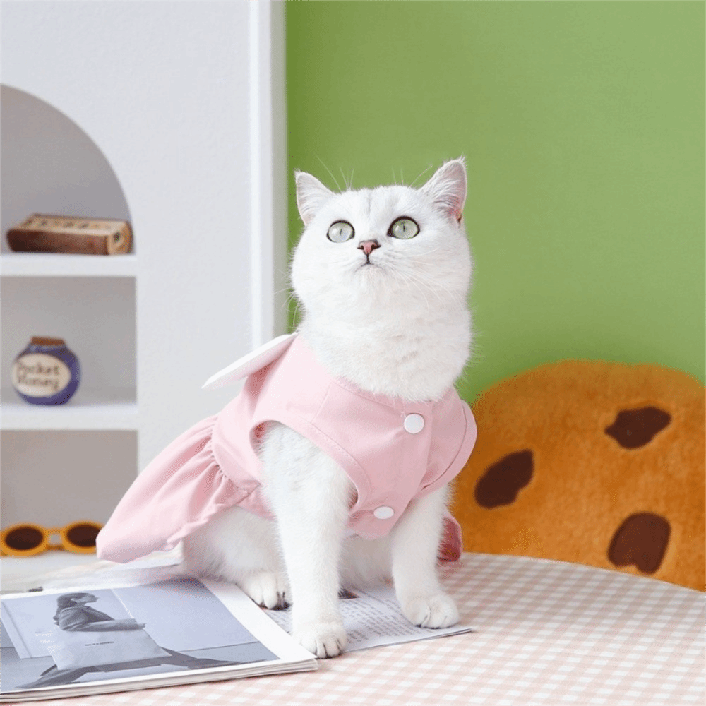 Pet Chest Strap Adorable Dog W - D Ring Strap 리뷰 및 가격