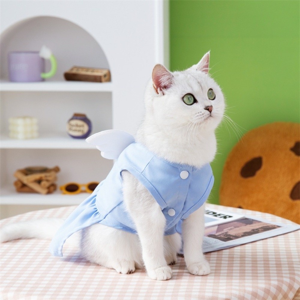 Pet Chest Strap Adorable Dog W - D Ring Strap 리뷰 및 가격