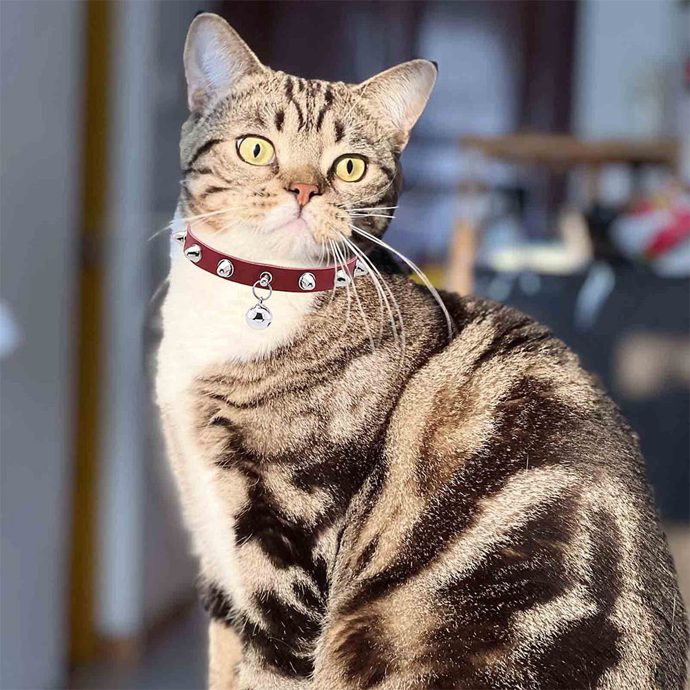 Leather Cat Collar With Bell D - D Ring Strap 리뷰 및 가격
