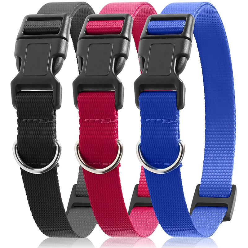 Dog Shock Collar Replacement S - D Ring Strap 리뷰 및 가격